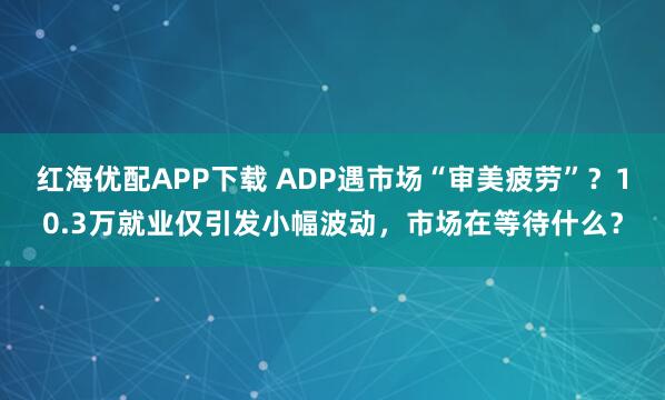 红海优配APP下载 ADP遇市场“审美疲劳”？10.3万就业仅引发小幅波动，市场在等待什么？