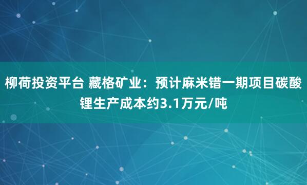 柳荷投资平台 藏格矿业：预计麻米错一期项目碳酸锂生产成本约3.1万元/吨