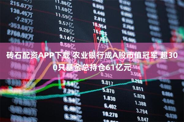 砖石配资APP下载 农业银行成A股市值冠军 超300只基金总持仓61亿元