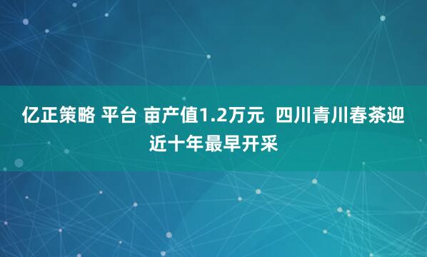 亿正策略 平台 亩产值1.2万元  四川青川春茶迎近十年最早开采
